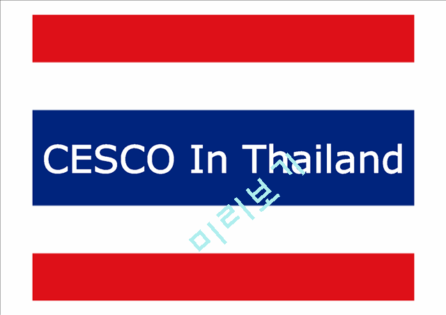 CESCO In Thailand(HOST COUNTRY,SWOT,FDI,CONCLUSION)   (1 )